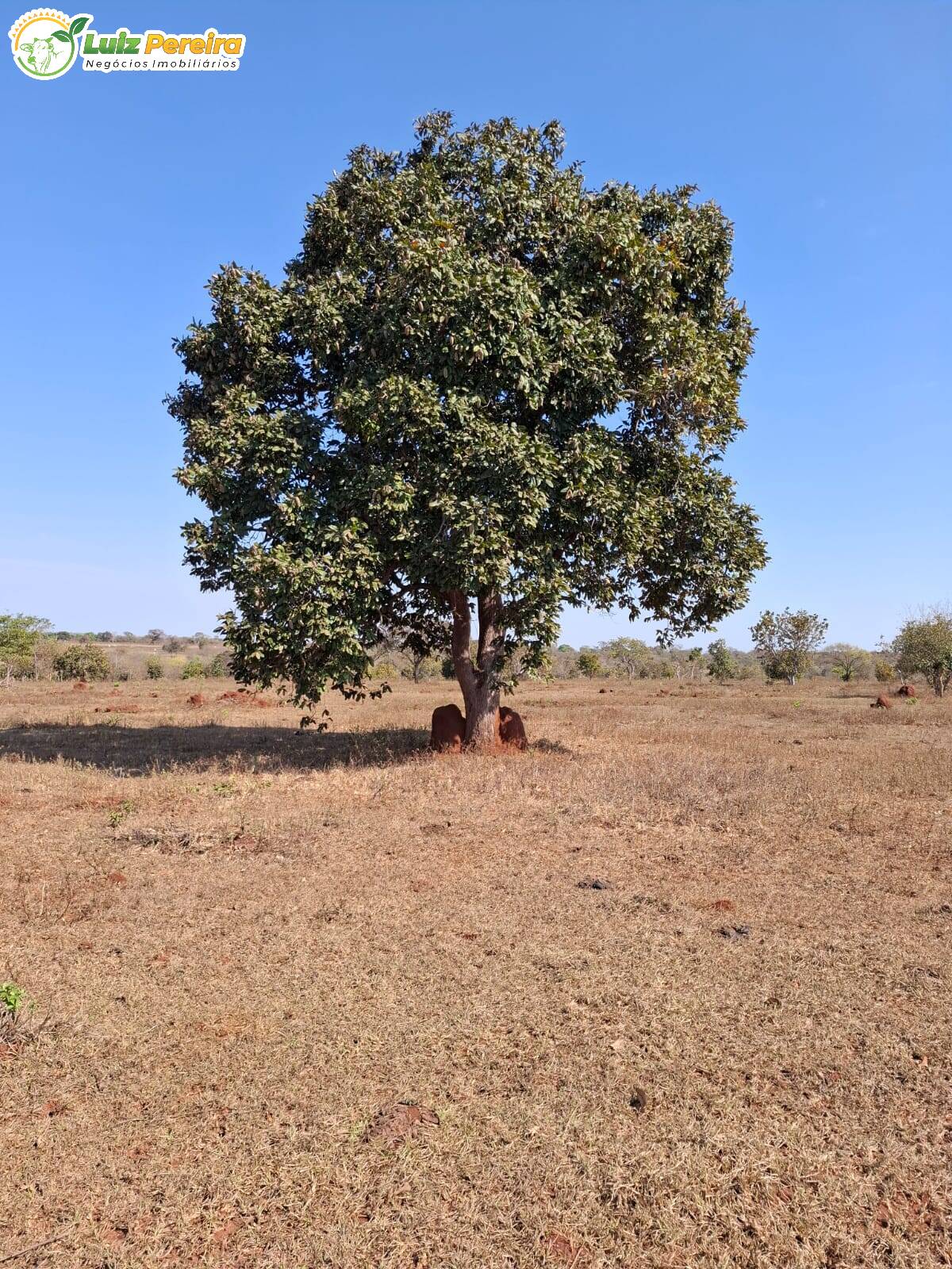 Terreno, 191 m² - Foto 1