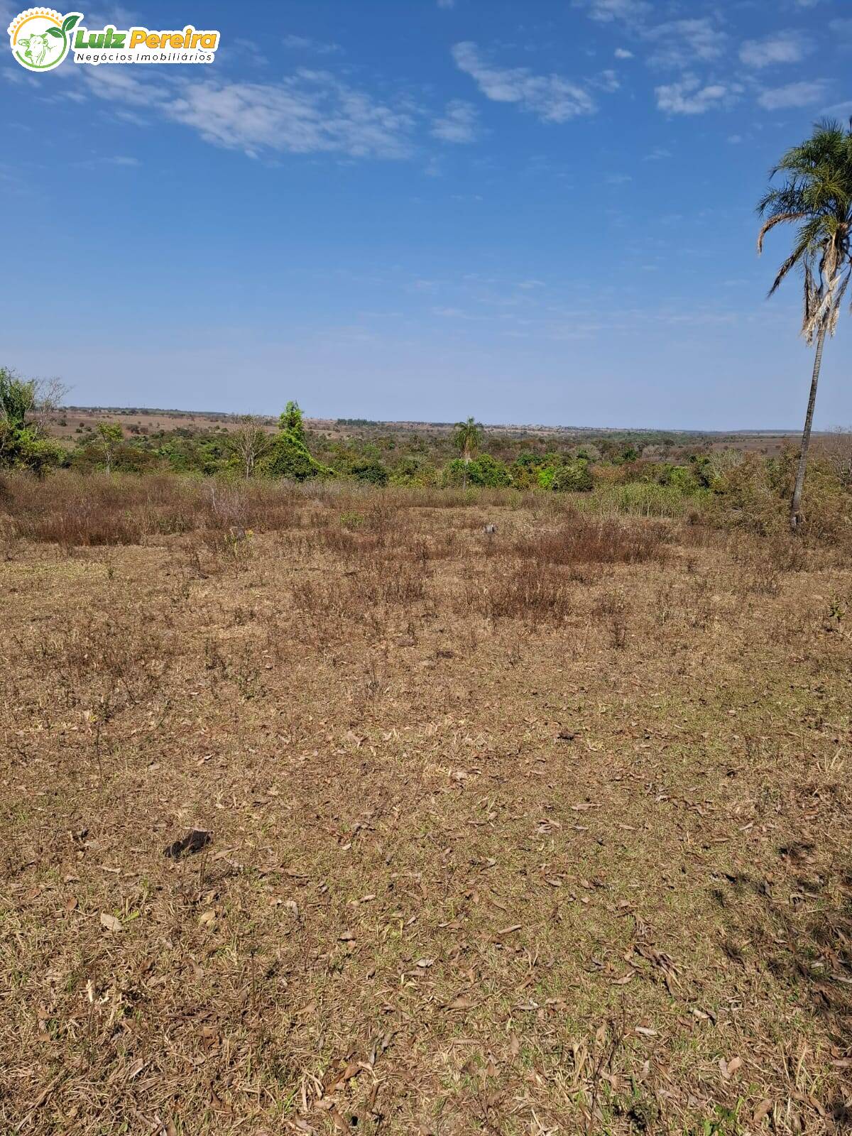 Terreno, 191 m² - Foto 4