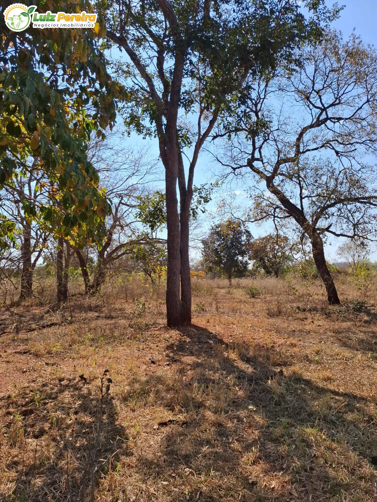 Terreno, 191 m² - Foto 3