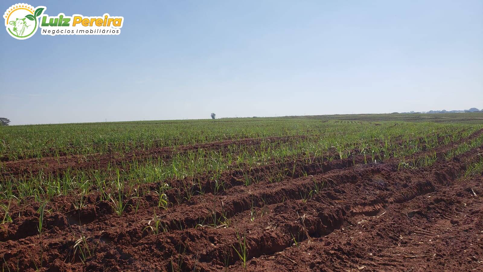 Terreno, 479 m² - Foto 2