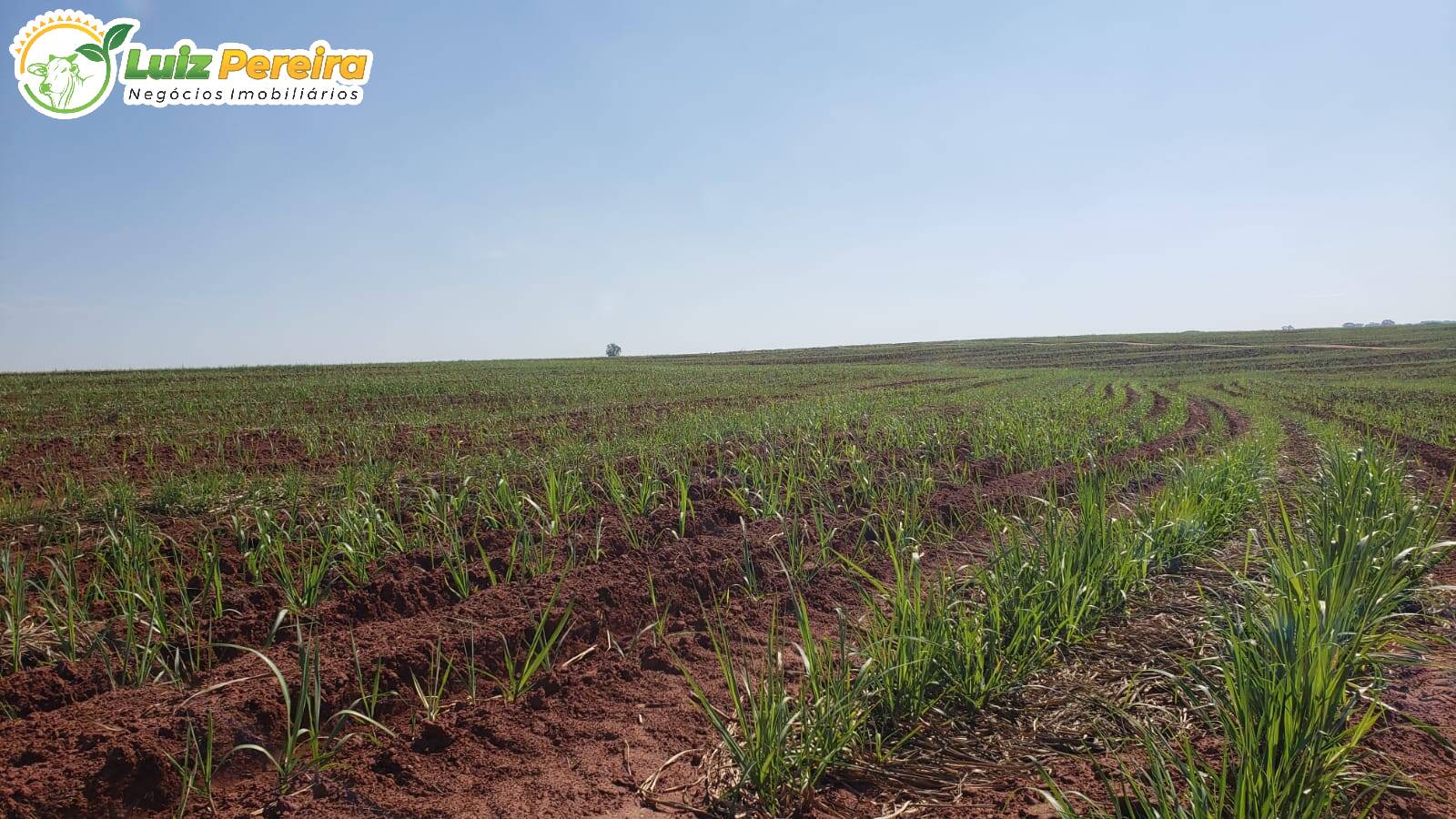 Terreno, 479 m² - Foto 3