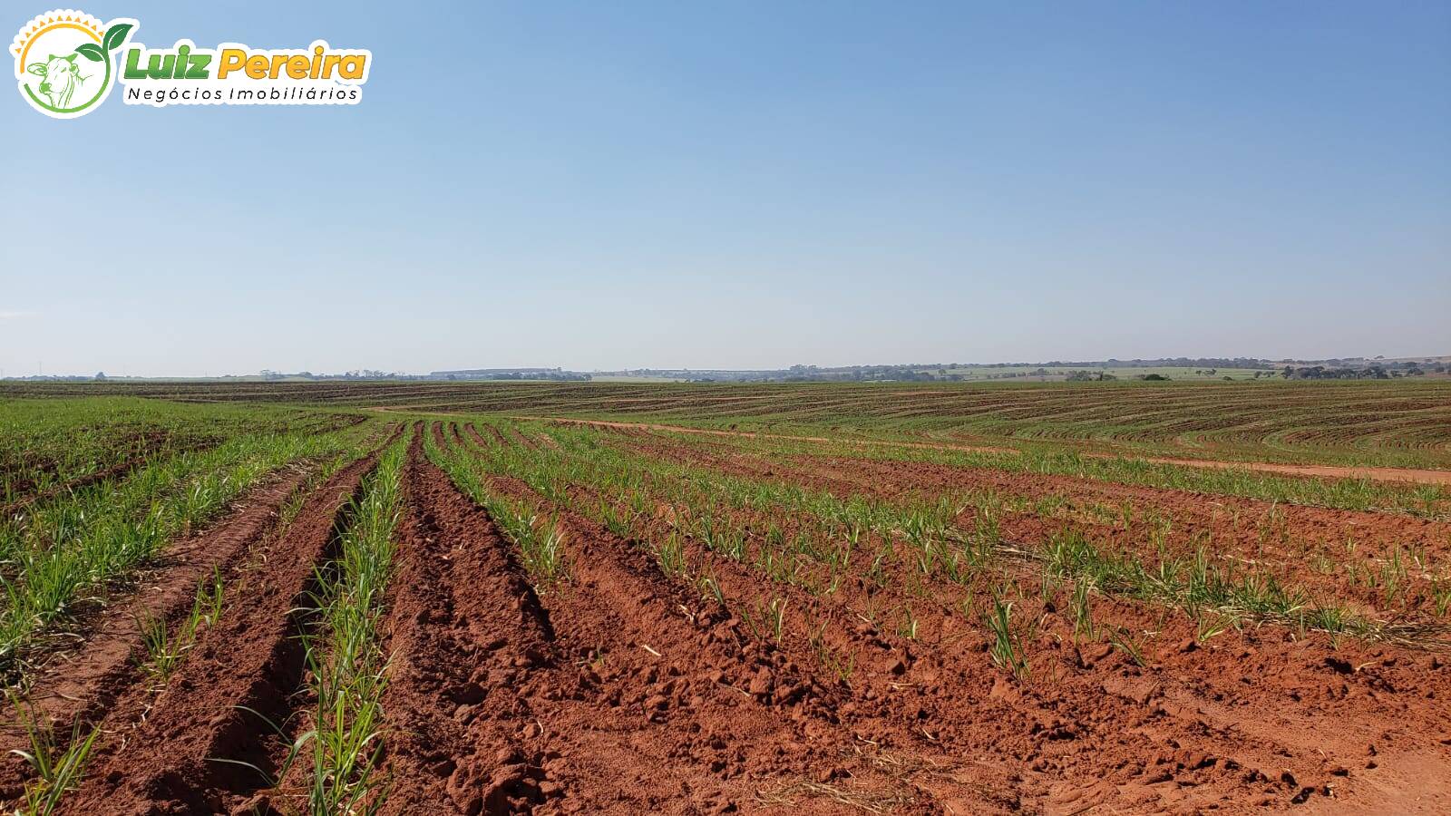 Terreno, 479 m² - Foto 4