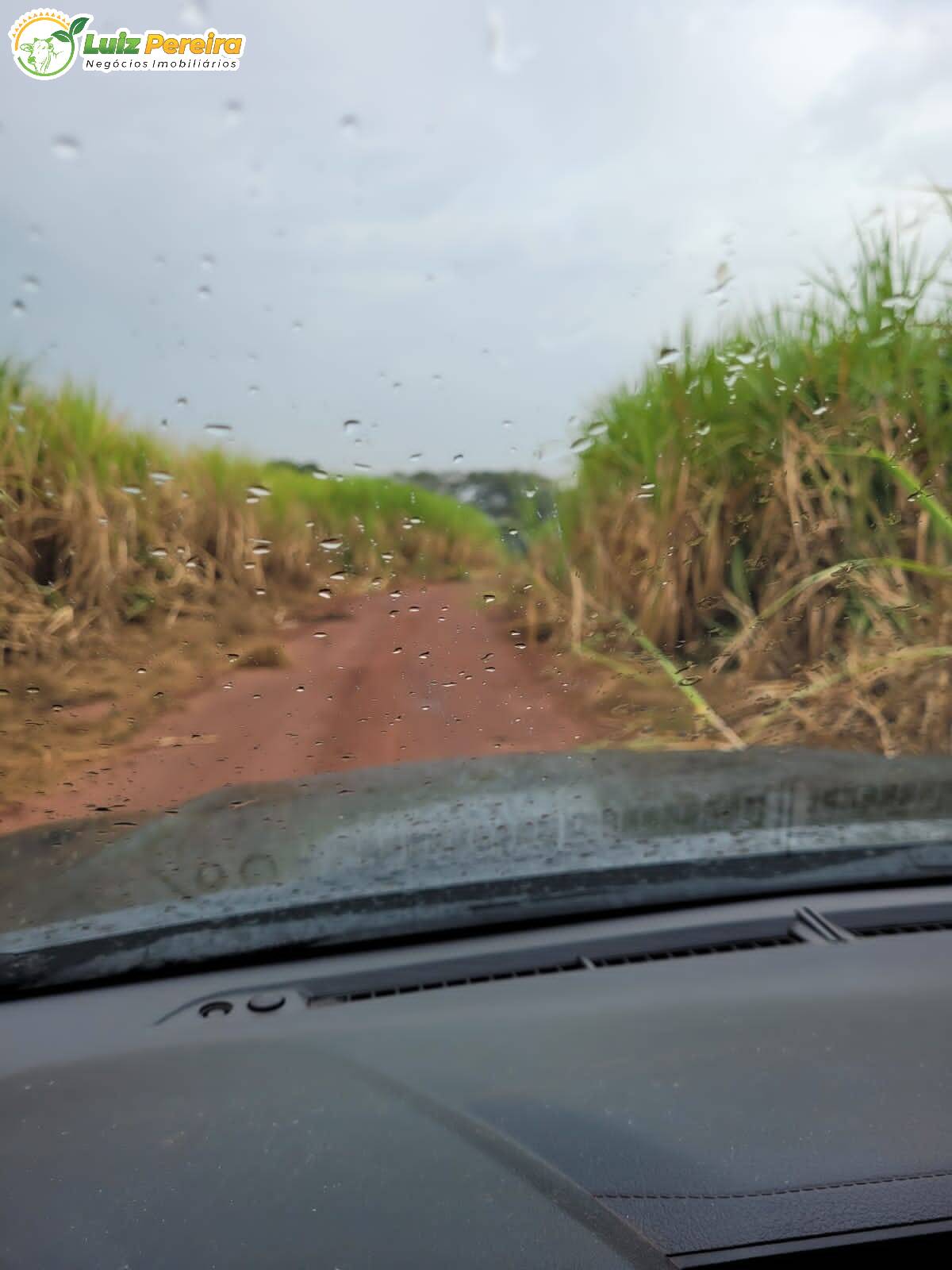 Terreno, 479 m² - Foto 5