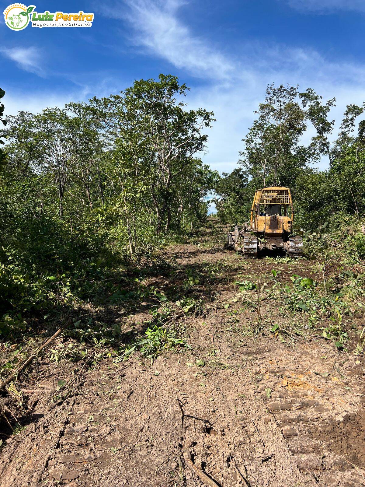 Terreno, 860 m² - Foto 4