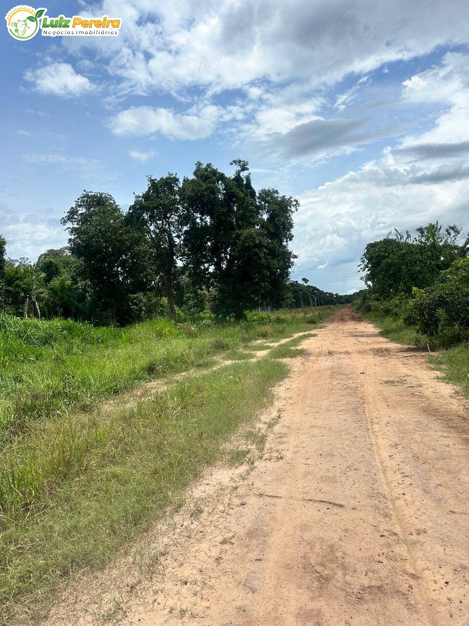 Terreno, 2720 m² - Foto 11