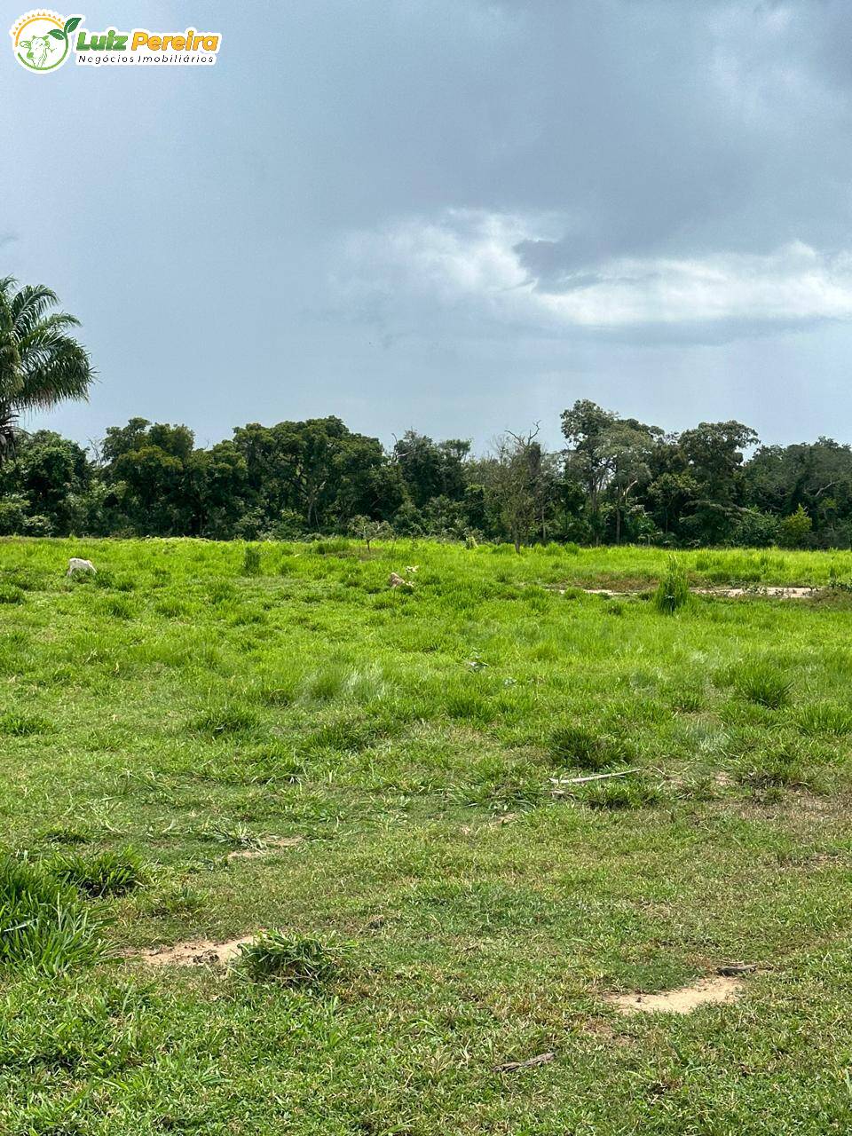 Terreno, 2720 m² - Foto 3