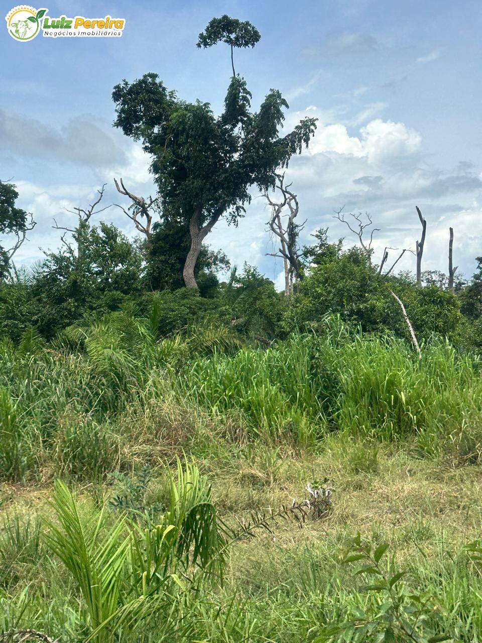 Terreno, 2720 m² - Foto 8