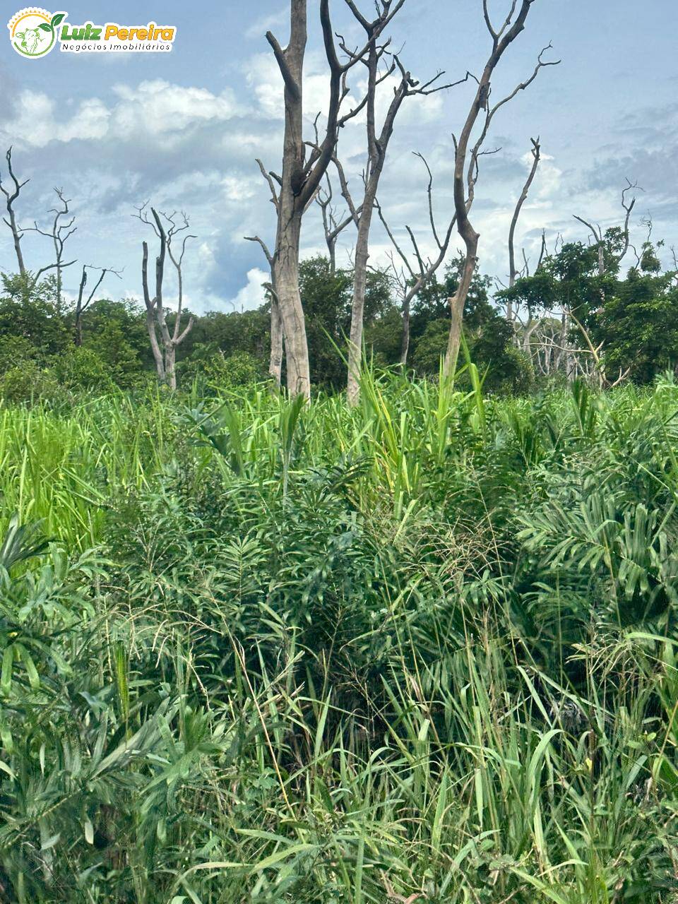 Terreno, 2720 m² - Foto 9