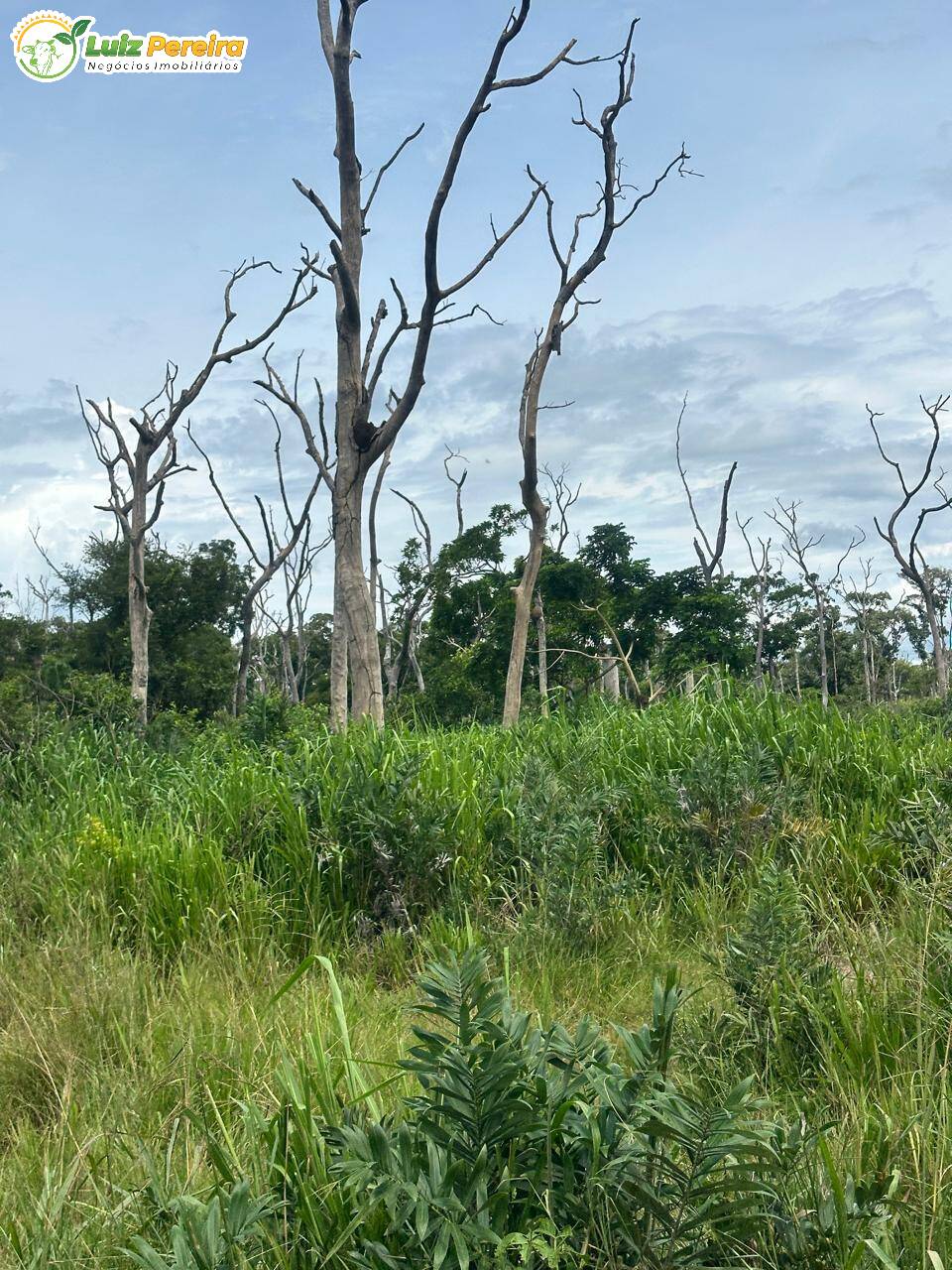 Terreno, 2720 m² - Foto 10