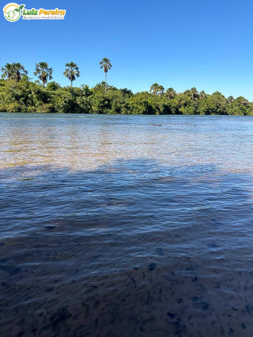 Terreno, 1074 m² - Foto 8