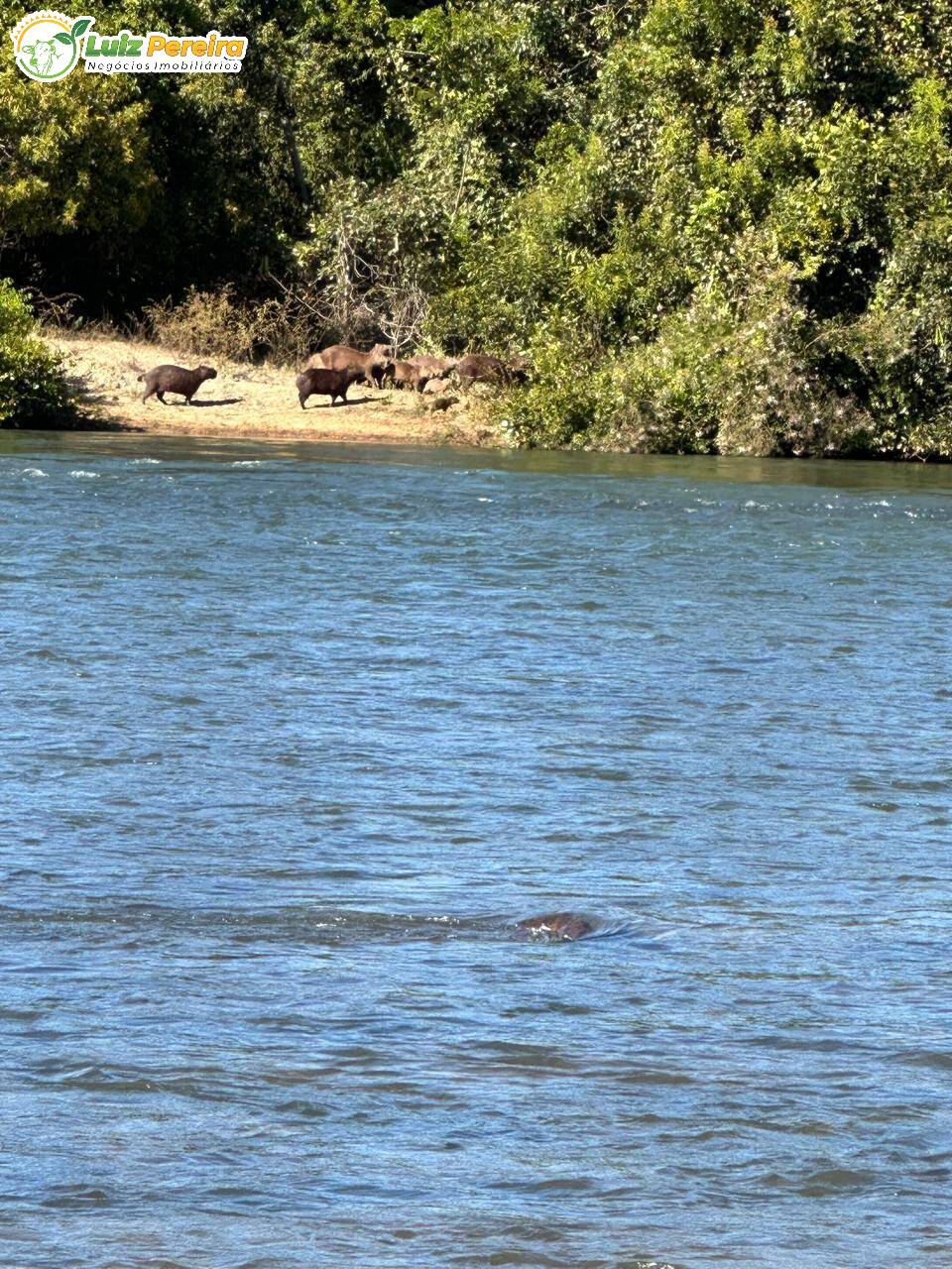 Terreno, 1074 m² - Foto 9