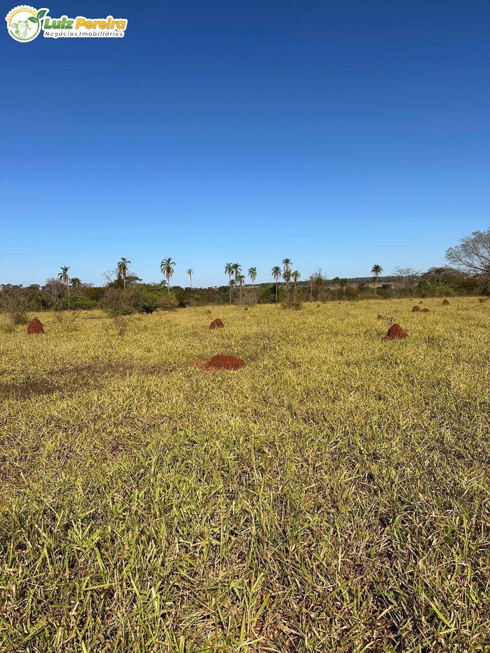 Terreno, 1074 m² - Foto 1