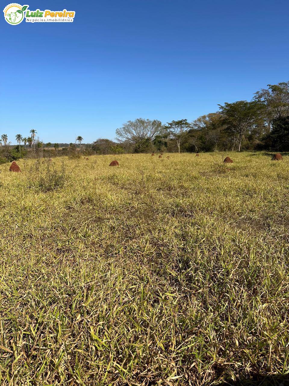 Terreno, 1074 m² - Foto 2