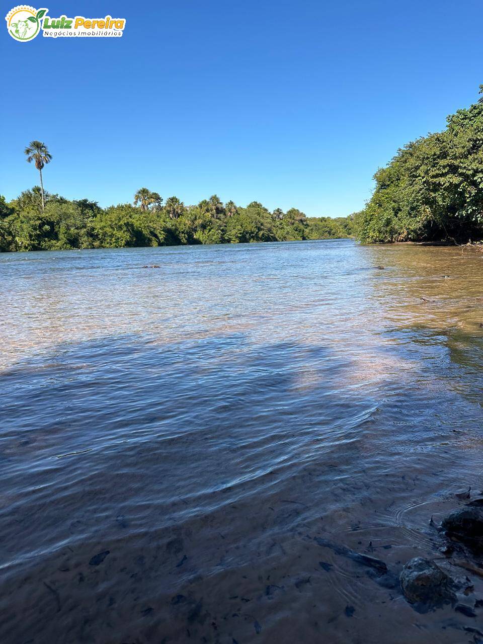 Terreno, 1074 m² - Foto 7