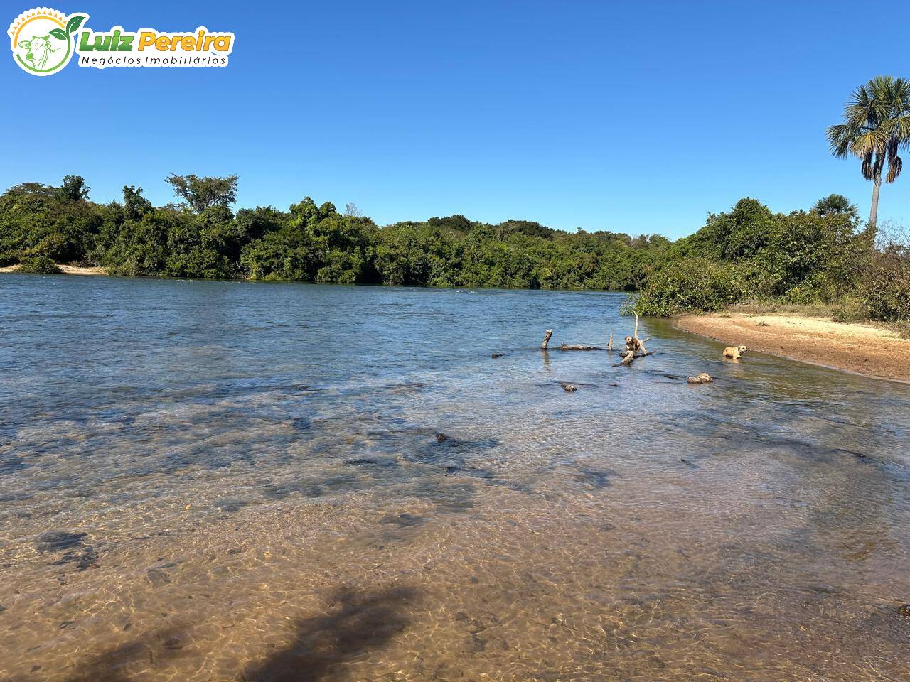 Terreno, 1074 m² - Foto 10