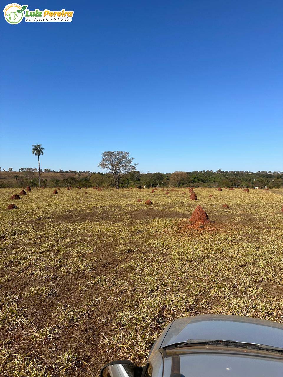 Terreno, 1074 m² - Foto 6