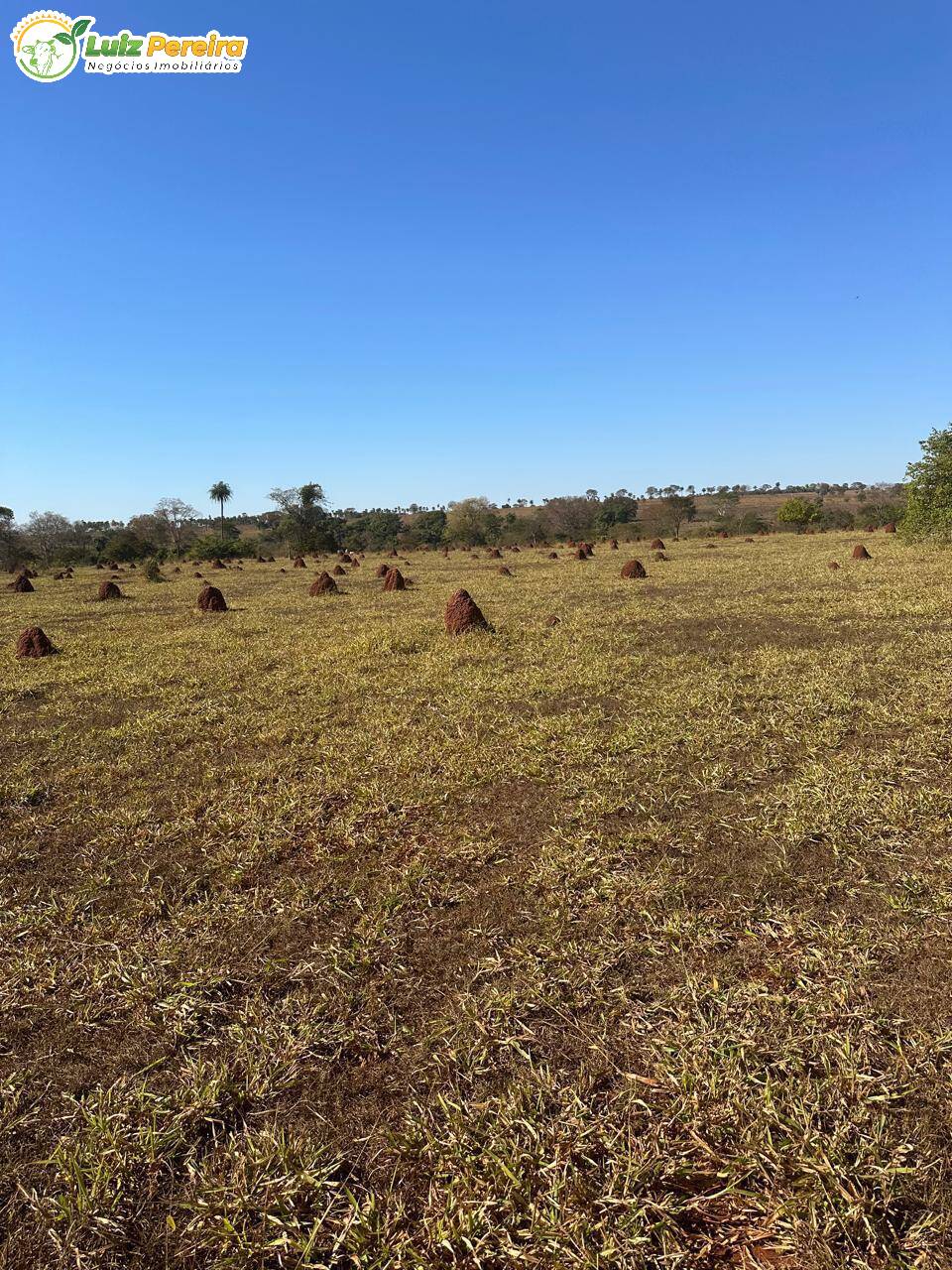 Terreno, 1074 m² - Foto 4