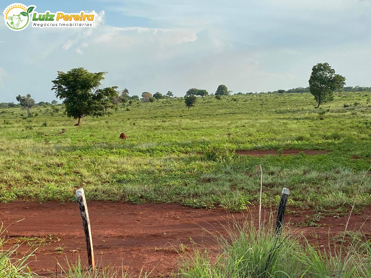 Terreno, 378 m² - Foto 6
