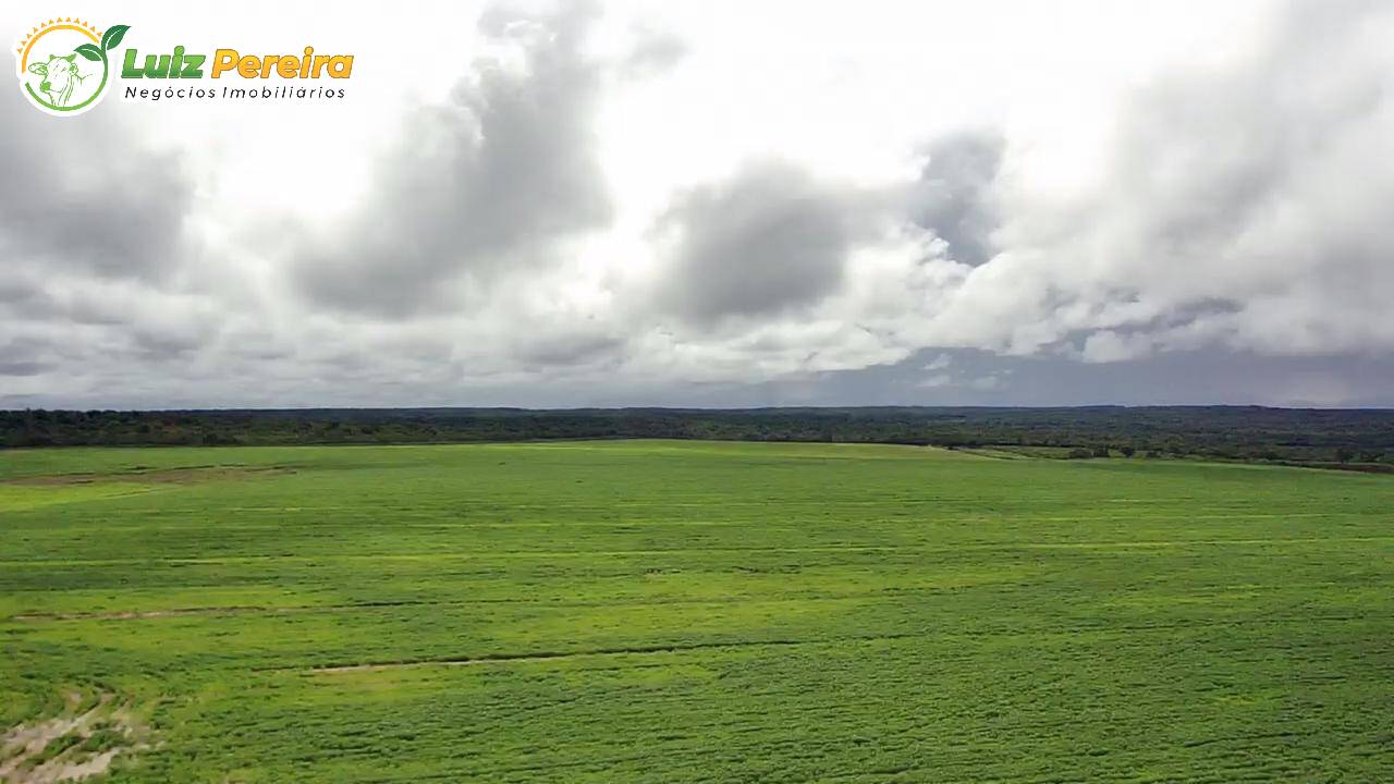 Terreno, 1600 m² - Foto 1