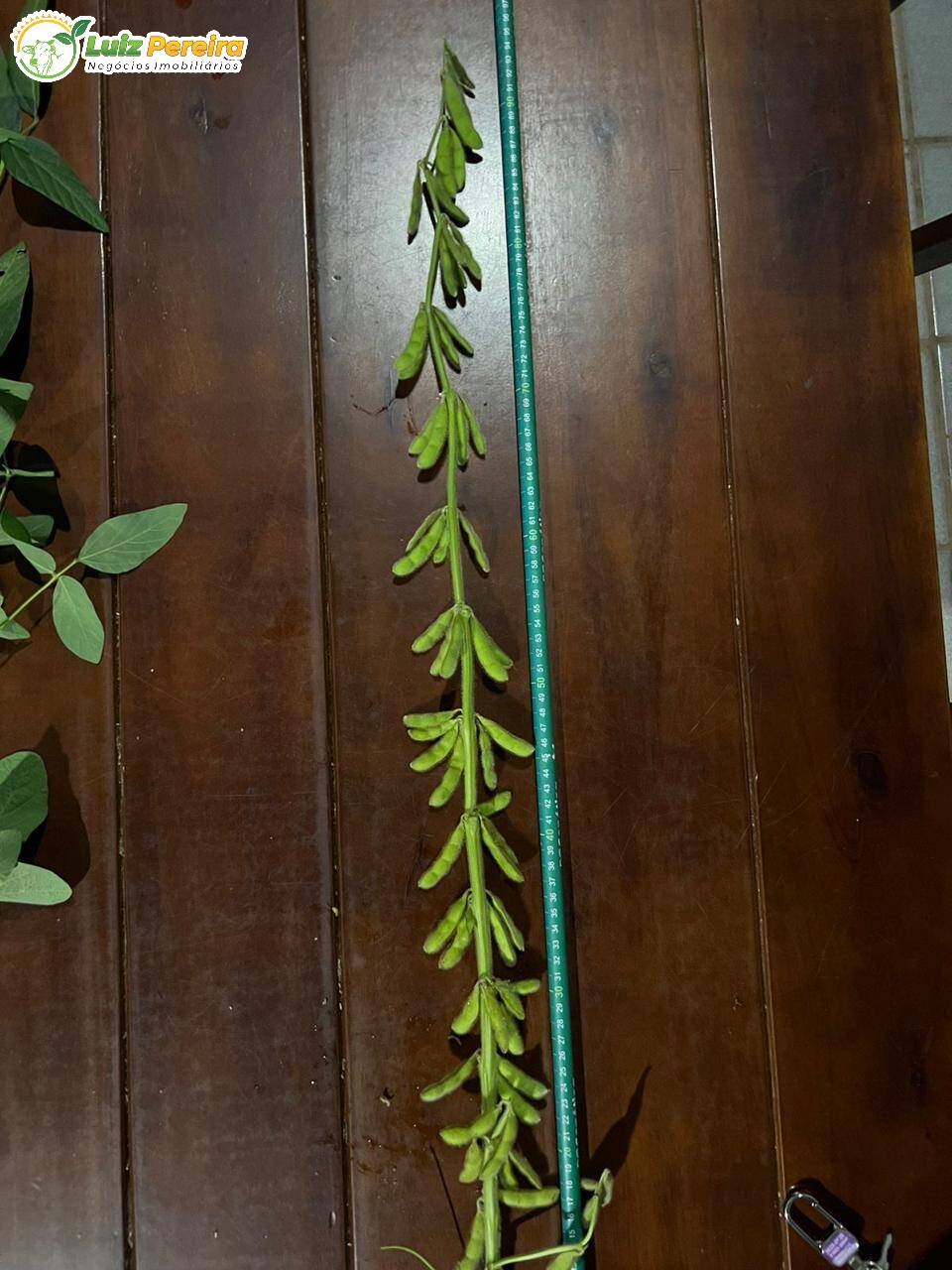 Terreno, 1600 m² - Foto 9