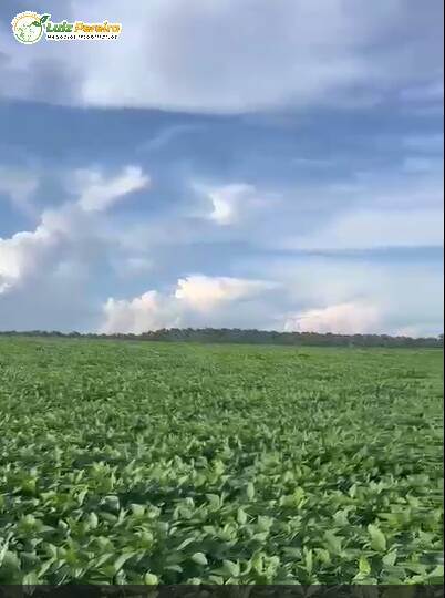 Terreno, 1600 m² - Foto 12