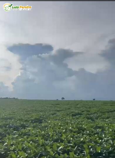 Terreno, 1600 m² - Foto 6