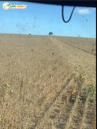 Terreno, 1600 m² - Foto 16