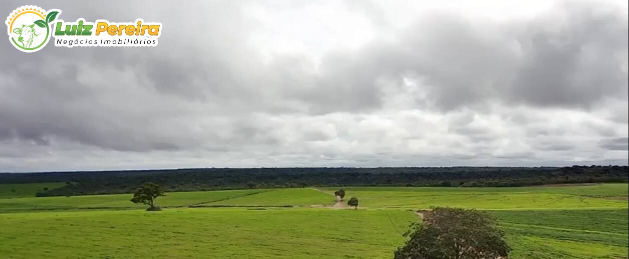 Terreno, 1600 m² - Foto 2