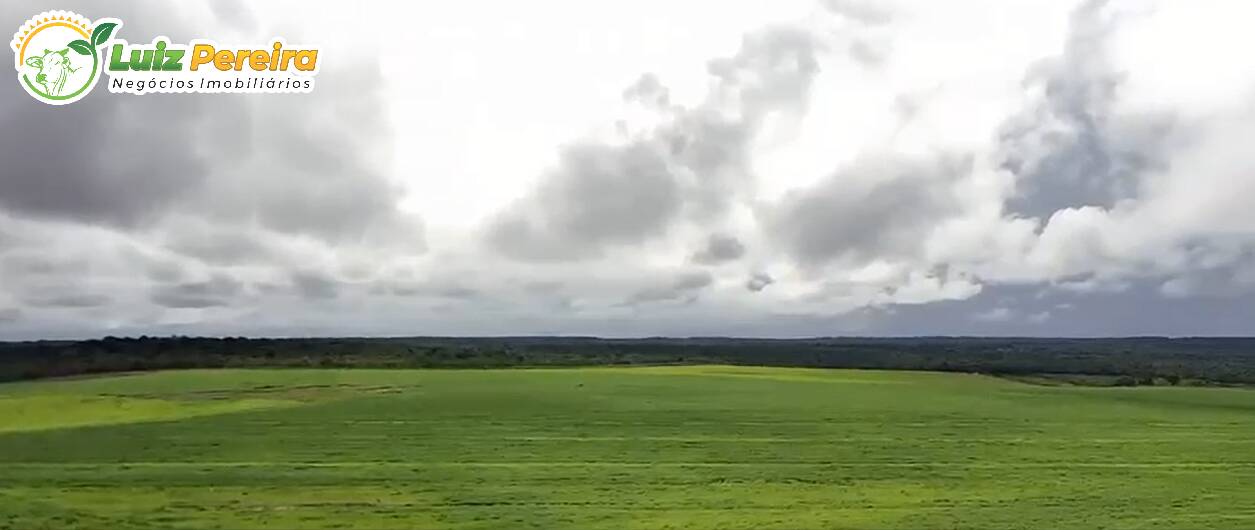 Terreno, 1600 m² - Foto 4