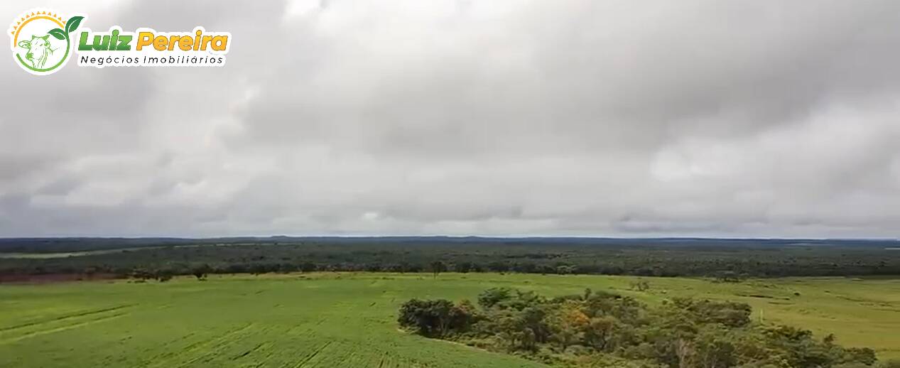 Terreno, 1600 m² - Foto 5