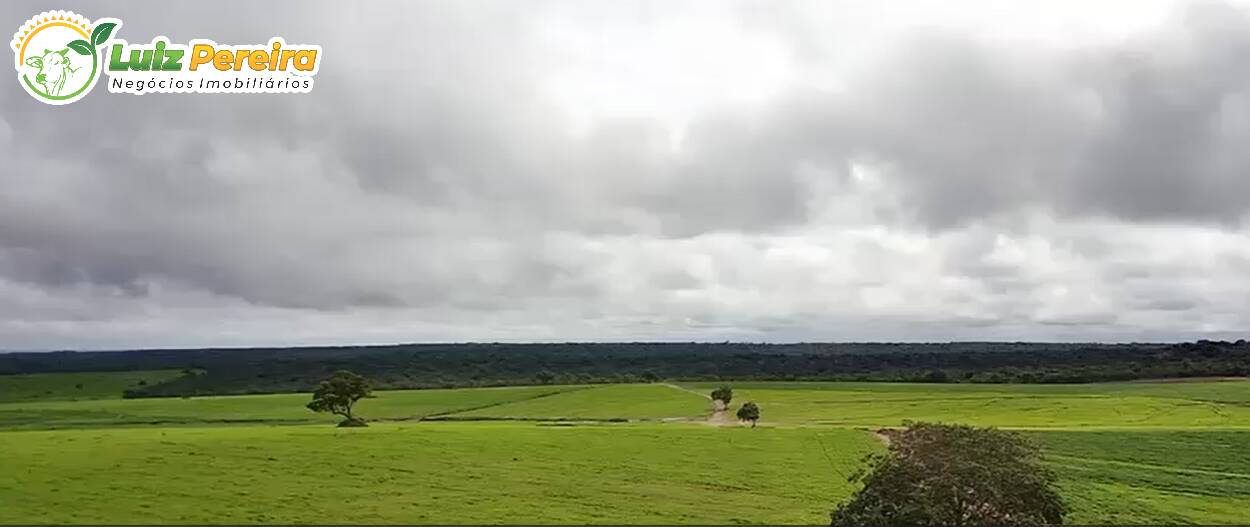 Terreno, 1600 m² - Foto 11