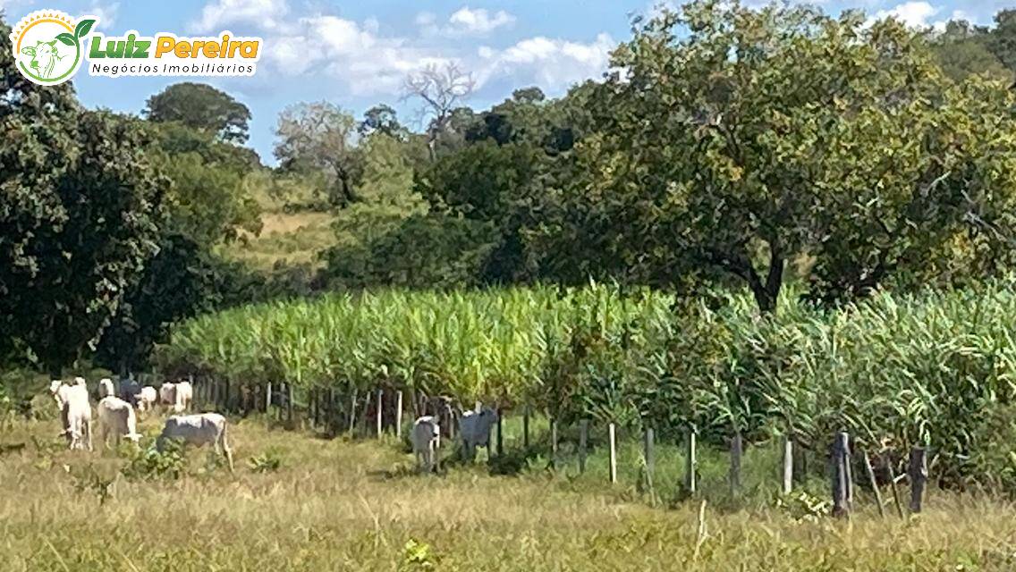 Terreno, 361 m² - Foto 2