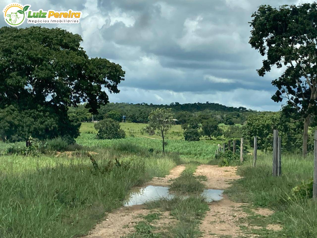 Terreno, 361 m² - Foto 6