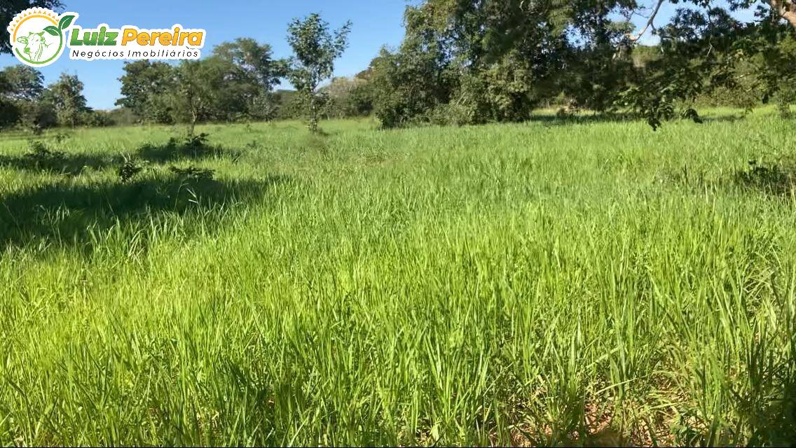 Terreno, 361 m² - Foto 4