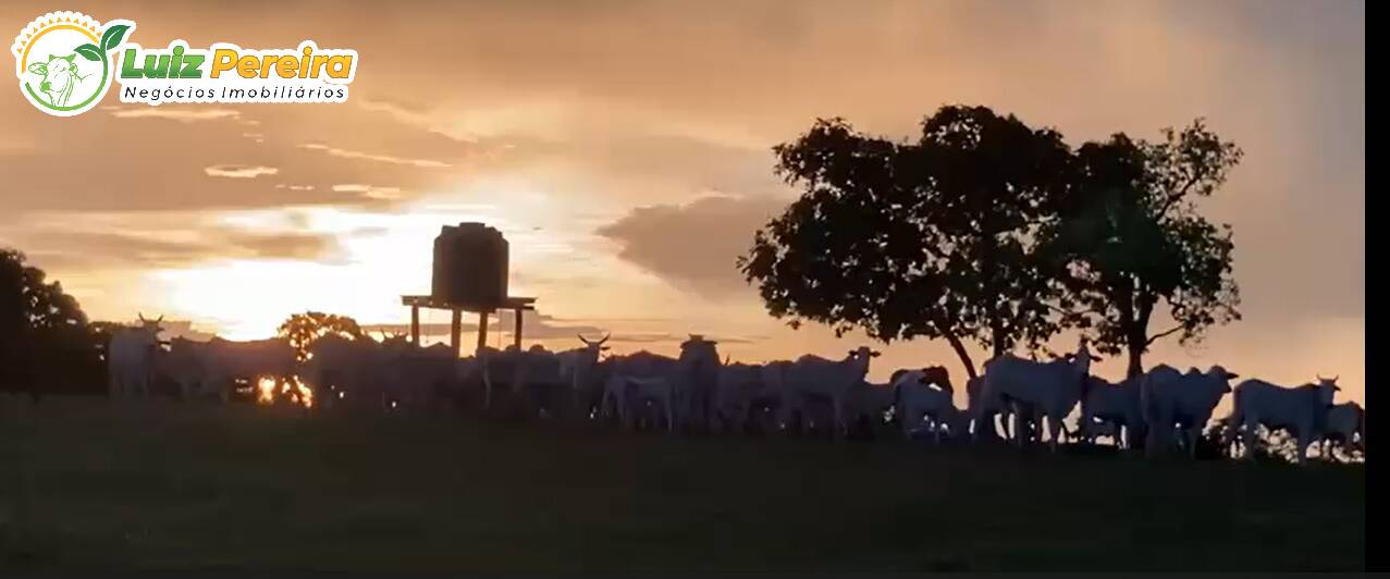 Terreno, 361 m² - Foto 10