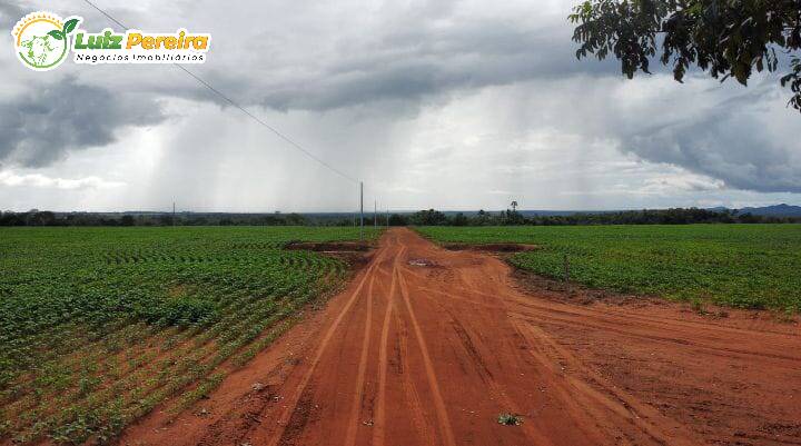 Terreno, 4791 m² - Foto 4