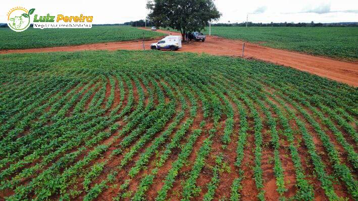 Terreno, 4791 m² - Foto 1