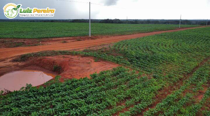 Terreno, 4791 m² - Foto 5