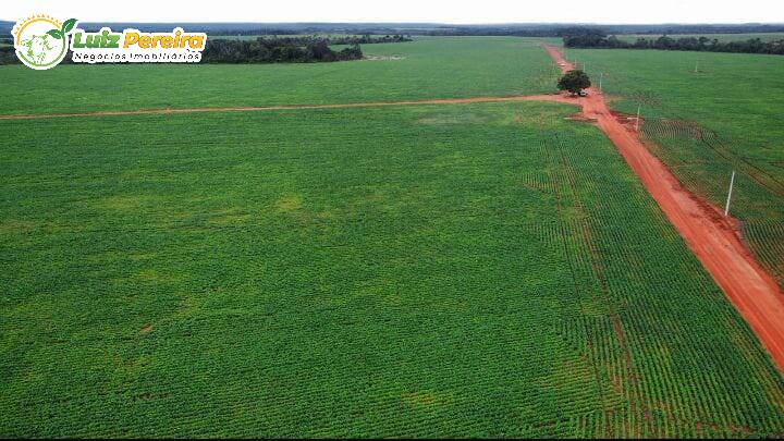 Terreno, 4791 m² - Foto 3