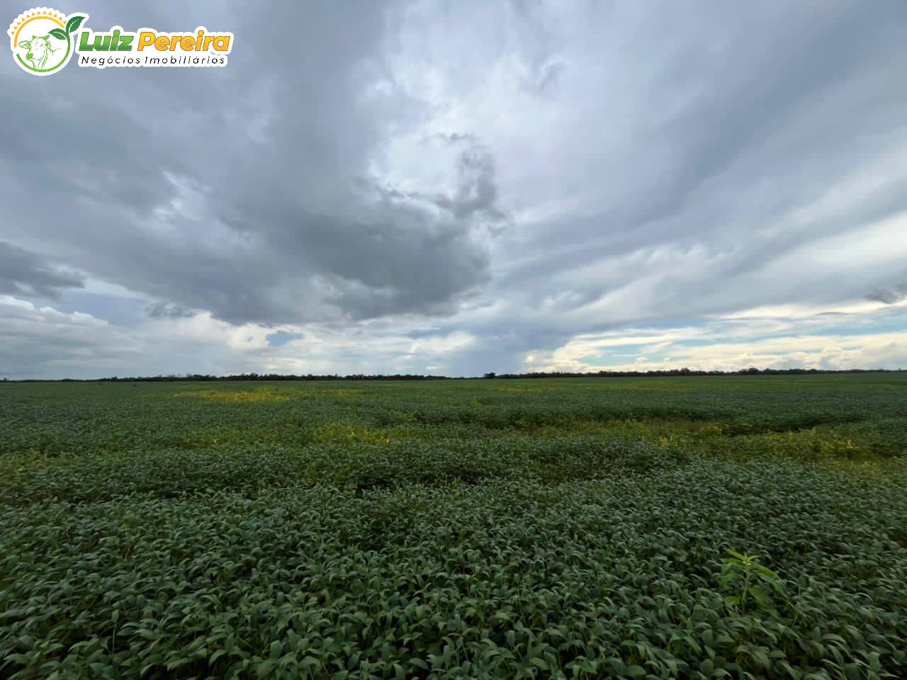 Terreno, 2000 m² - Foto 3