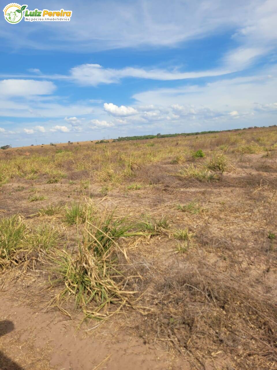 Terreno, 2000 m² - Foto 8