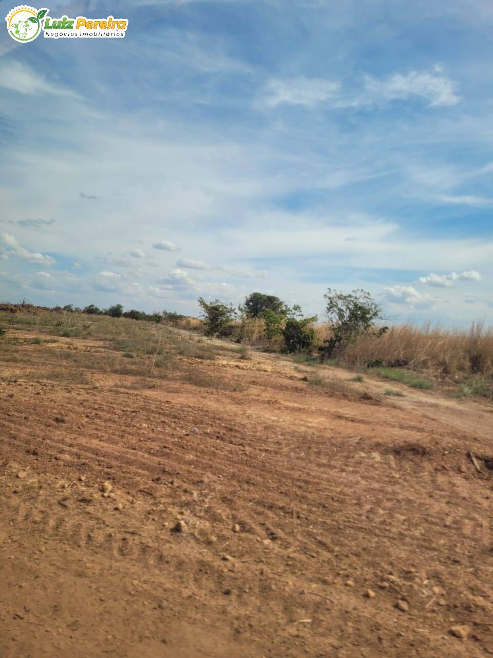 Terreno, 2000 m² - Foto 9