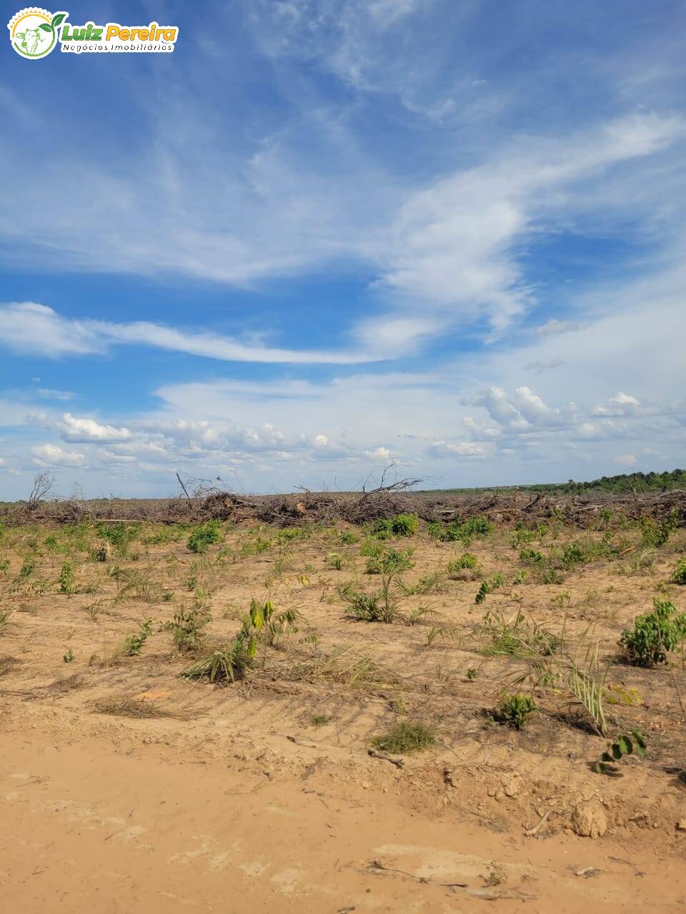 Terreno, 2000 m² - Foto 11