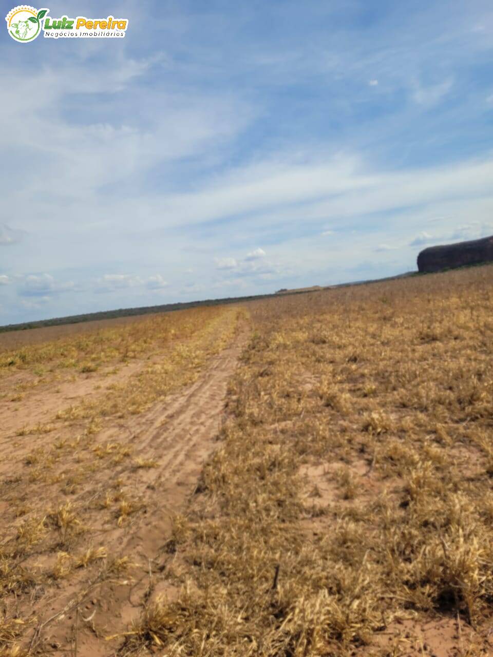 Terreno, 2000 m² - Foto 12