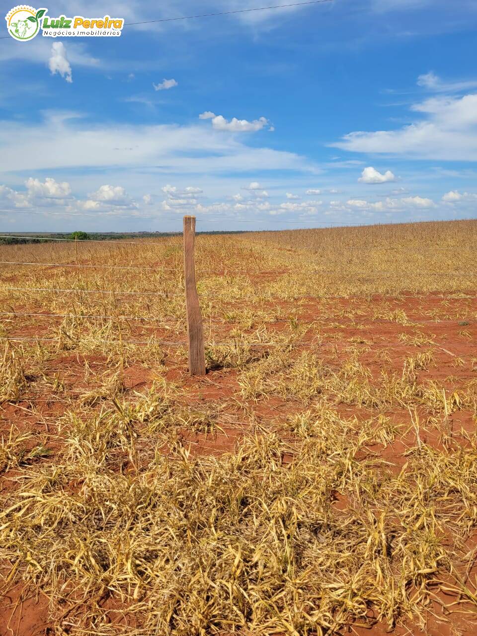 Terreno, 2000 m² - Foto 14