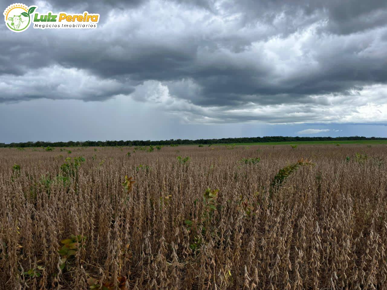 Terreno, 2000 m² - Foto 5