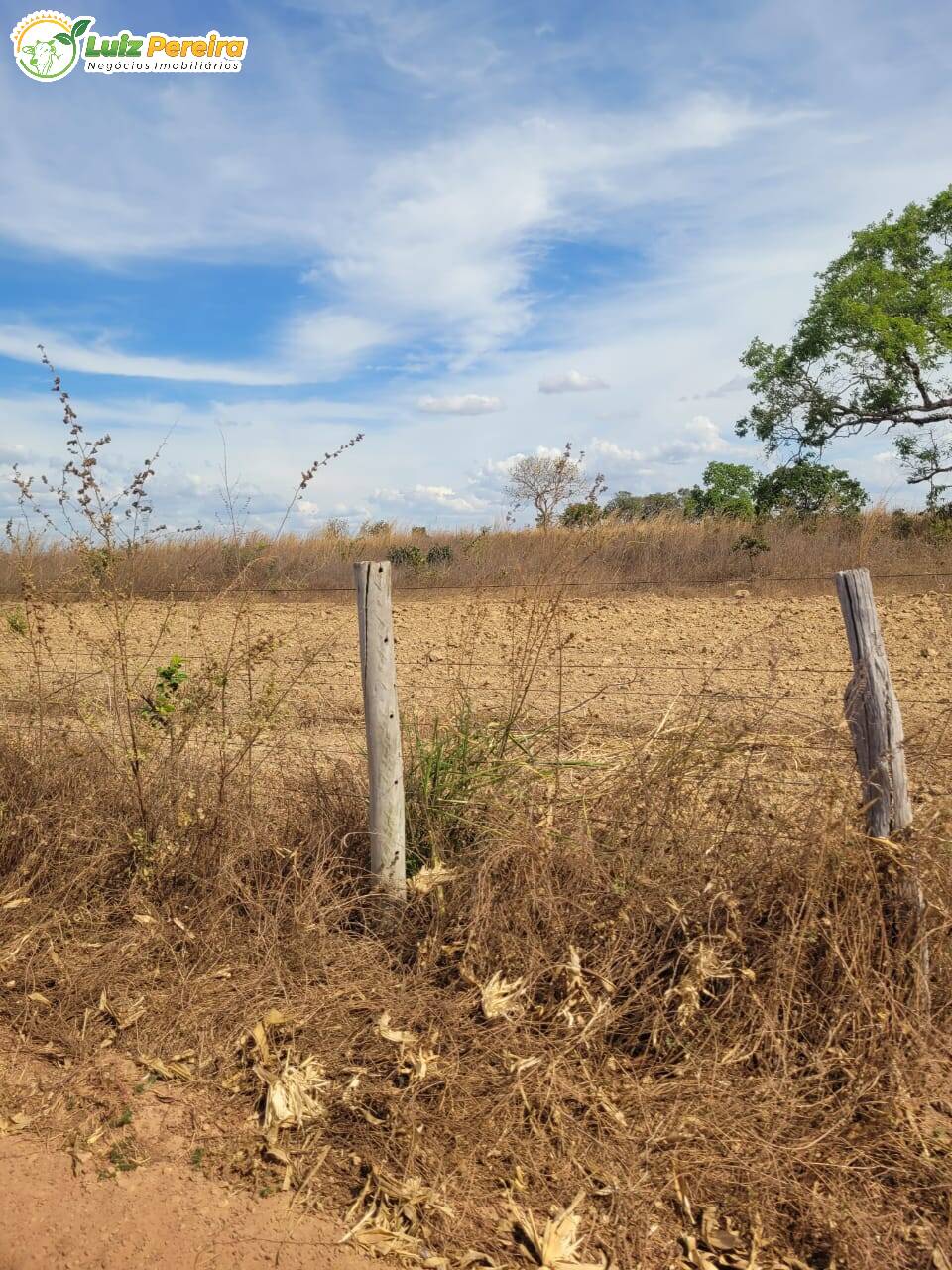 Terreno, 2000 m² - Foto 15