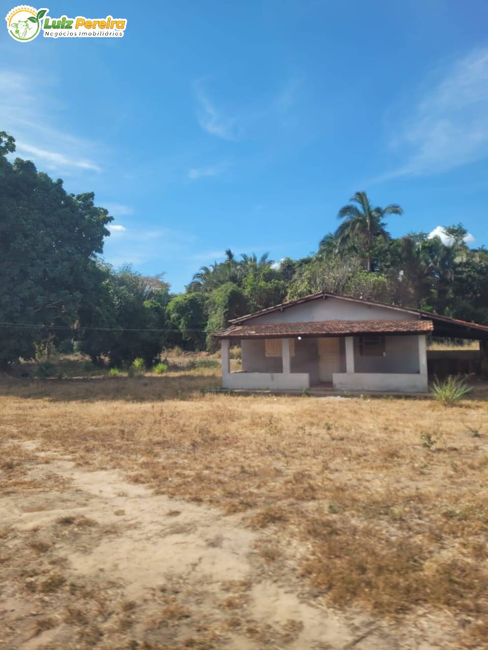 Terreno, 2000 m² - Foto 18