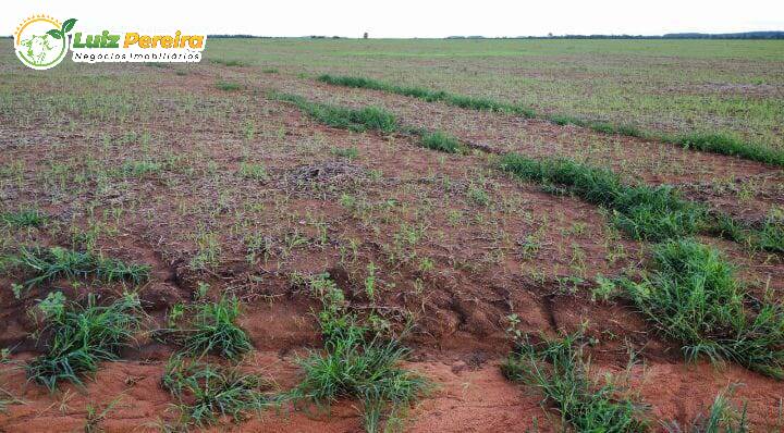 Terreno, 2000 m² - Foto 2