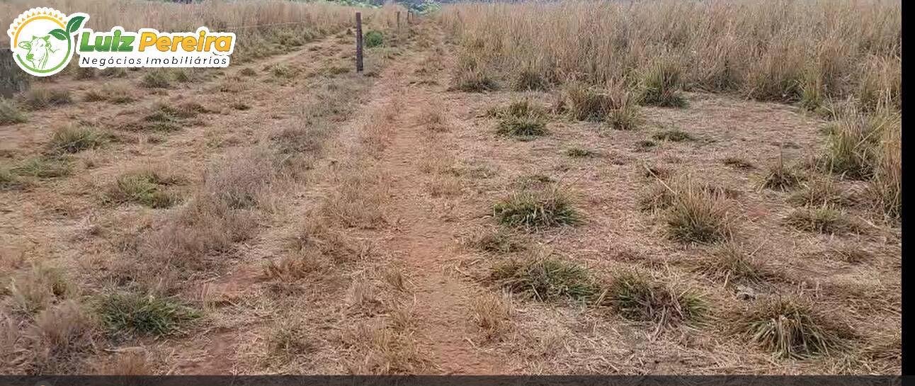 Terreno, 1031 m² - Foto 6